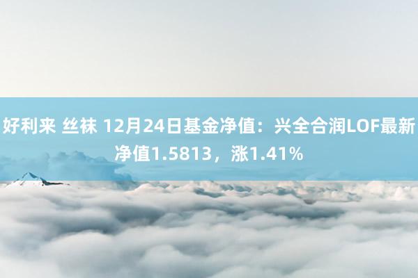 好利来 丝袜 12月24日基金净值：兴全合润LOF最新净值1.5813，涨1.41%