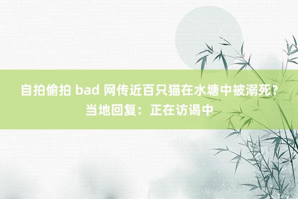 自拍偷拍 bad 网传近百只猫在水塘中被溺死？当地回复：正在访谒中