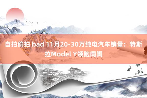 自拍偷拍 bad 11月20-30万纯电汽车销量：特斯拉Model Y领跑阛阓