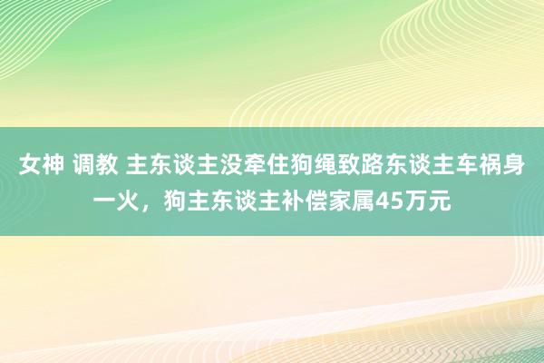 女神 调教 主东谈主没牵住狗绳致路东谈主车祸身一火，狗主东谈主补偿家属45万元