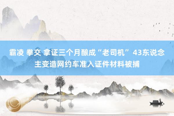 霸凌 拳交 拿证三个月酿成“老司机” 43东说念主变造网约车准入证件材料被捕