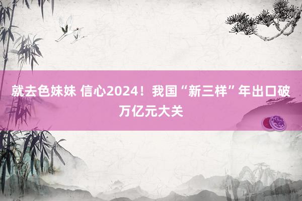 就去色妹妹 信心2024！我国“新三样”年出口破万亿元大关