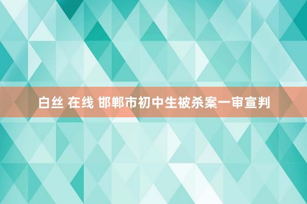 白丝 在线 邯郸市初中生被杀案一审宣判