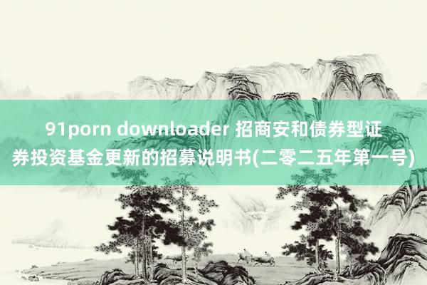 91porn downloader 招商安和债券型证券投资基金更新的招募说明书(二零二五年第一号)