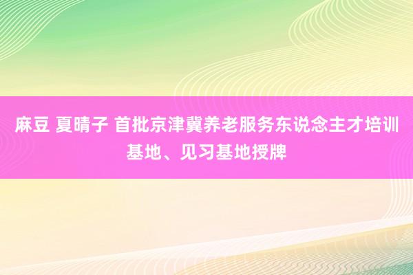 麻豆 夏晴子 首批京津冀养老服务东说念主才培训基地、见习基地授牌