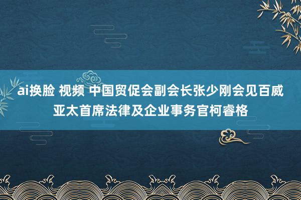 ai换脸 视频 中国贸促会副会长张少刚会见百威亚太首席法律及企业事务官柯睿格