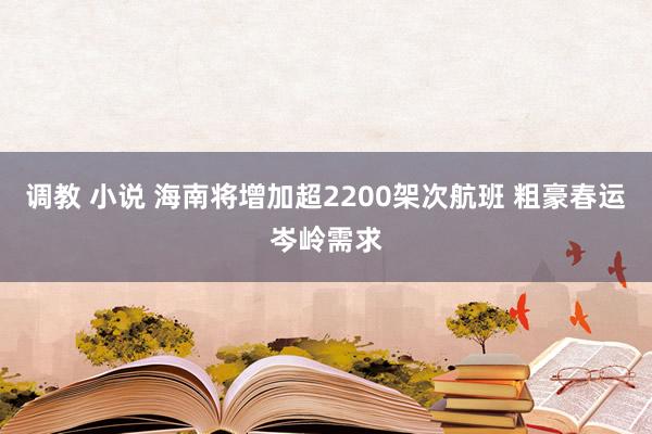 调教 小说 海南将增加超2200架次航班 粗豪春运岑岭需求