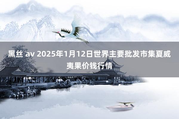 黑丝 av 2025年1月12日世界主要批发市集夏威夷果价钱行情