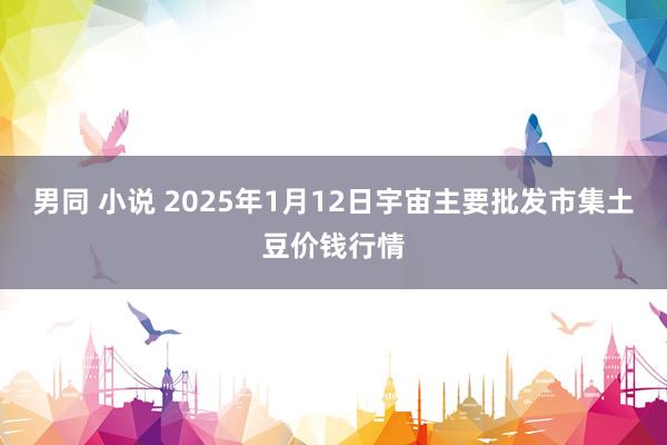 男同 小说 2025年1月12日宇宙主要批发市集土豆价钱行情