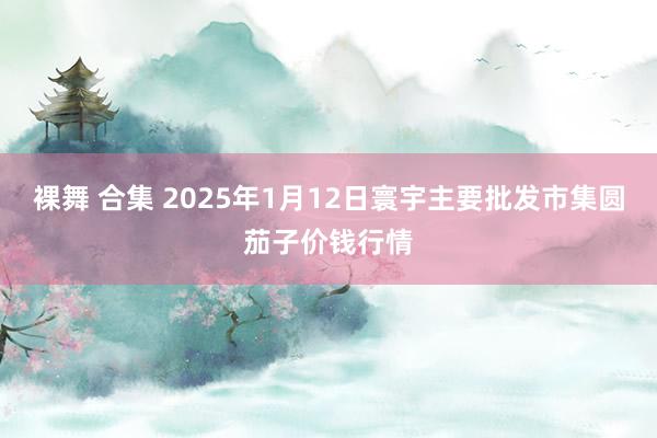 裸舞 合集 2025年1月12日寰宇主要批发市集圆茄子价钱行情