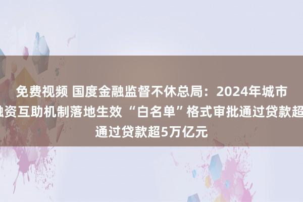 免费视频 国度金融监督不休总局：2024年城市房地产融资互助机制落地生效 “白名单”格式审批通过贷款超5万亿元