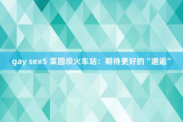 gay sex5 菜园坝火车站：期待更好的“邂逅”