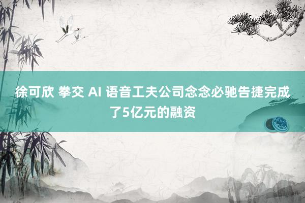 徐可欣 拳交 AI 语音工夫公司念念必驰告捷完成了5亿元的融资