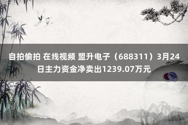 自拍偷拍 在线视频 盟升电子（688311）3月24日主力资金净卖出1239.07万元