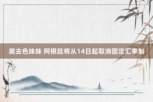 就去色妹妹 阿根廷将从14日起取消固定汇率制